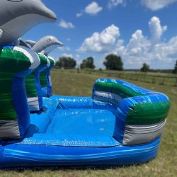 19ft dolphin pool 20ft Dolphin Splashdown - Single Lane (Wet)